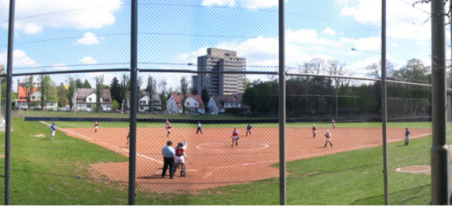 Baseball-5